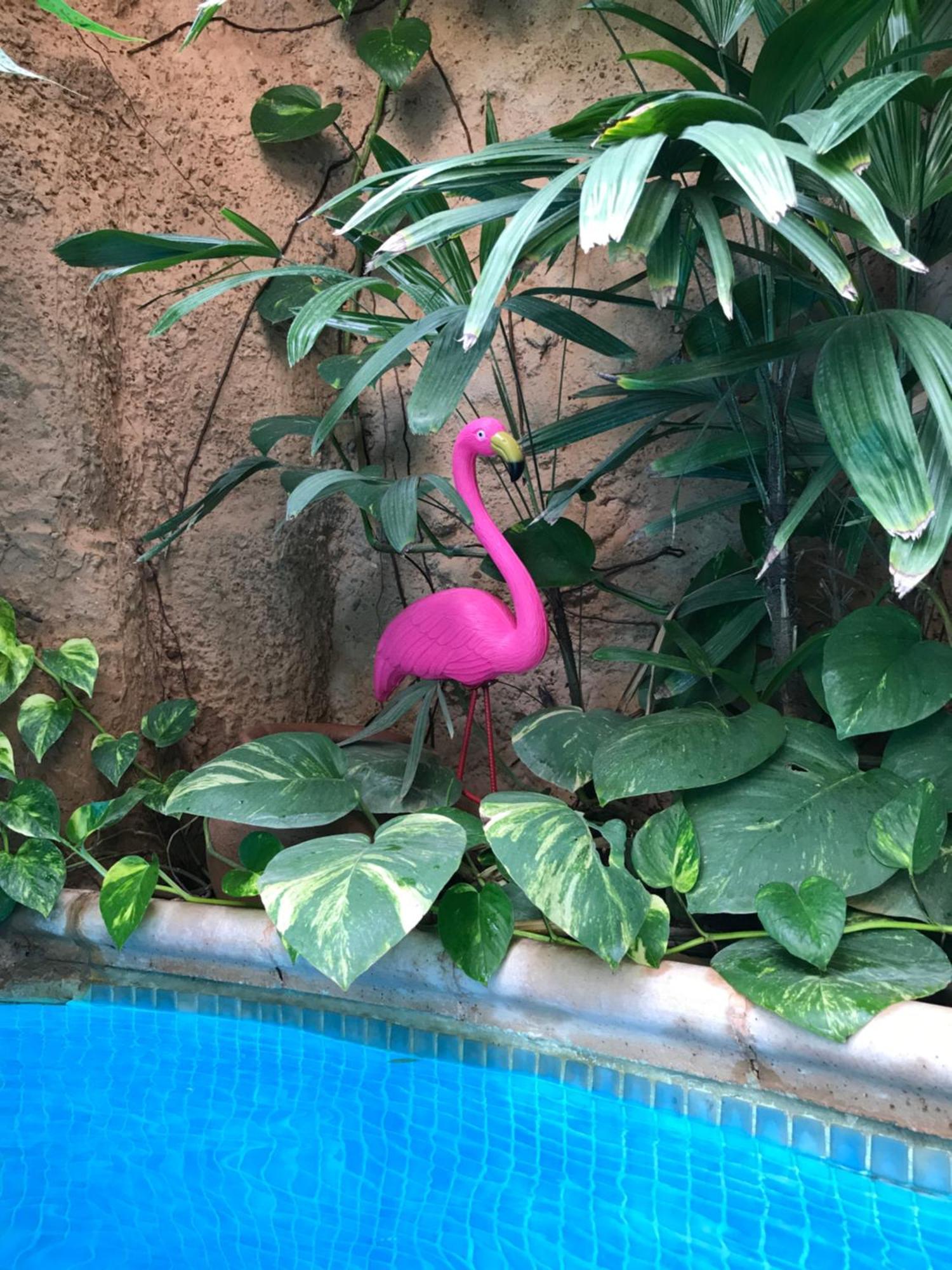 Appartamento Tropical Oasis Ouakam Esterno foto