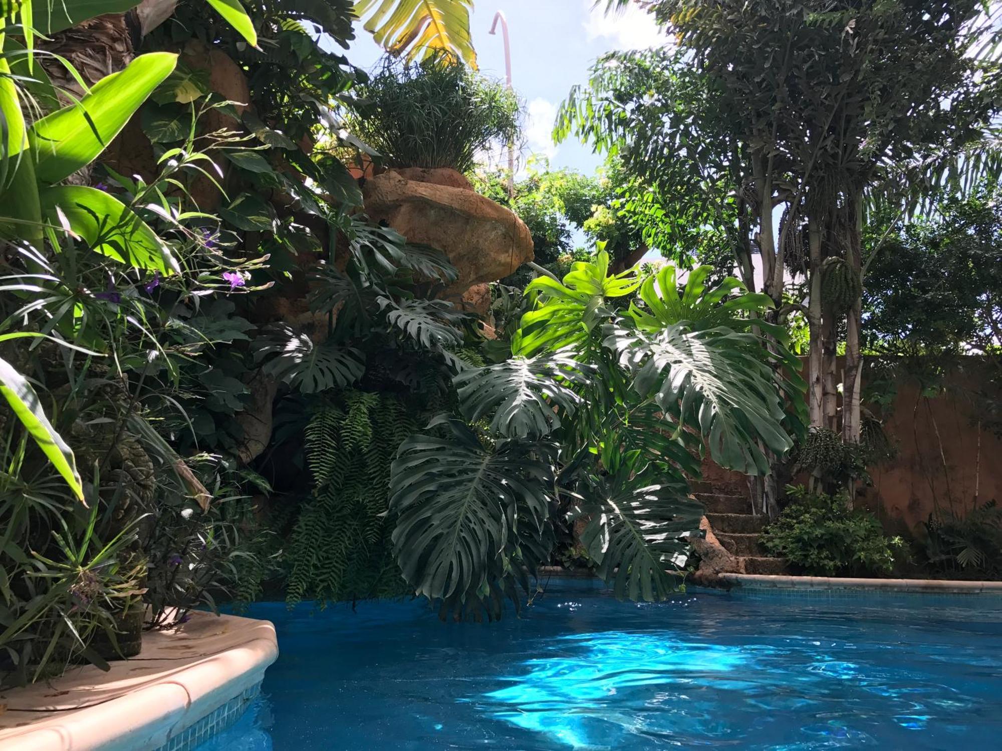 Appartamento Tropical Oasis Ouakam Esterno foto