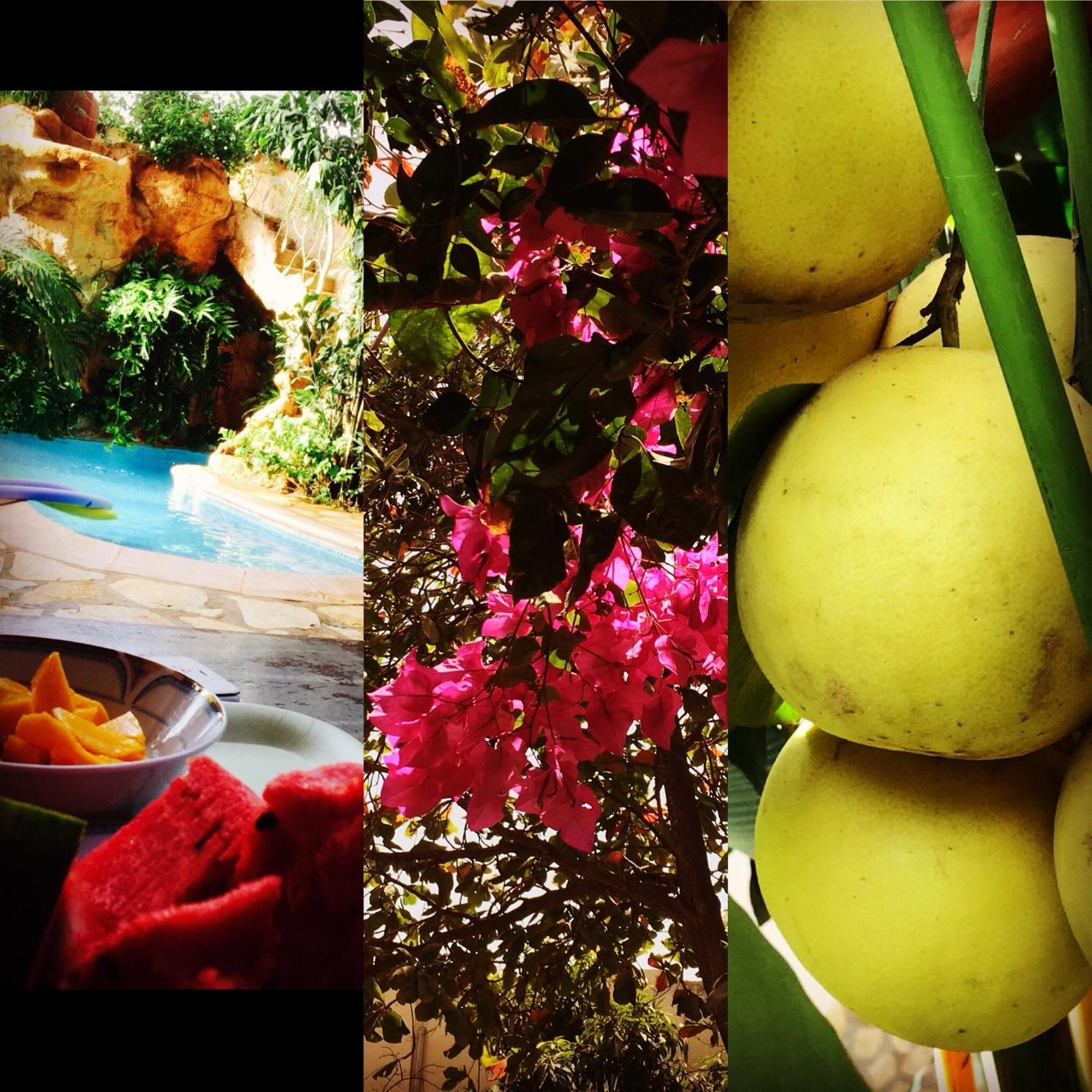 Appartamento Tropical Oasis Ouakam Esterno foto