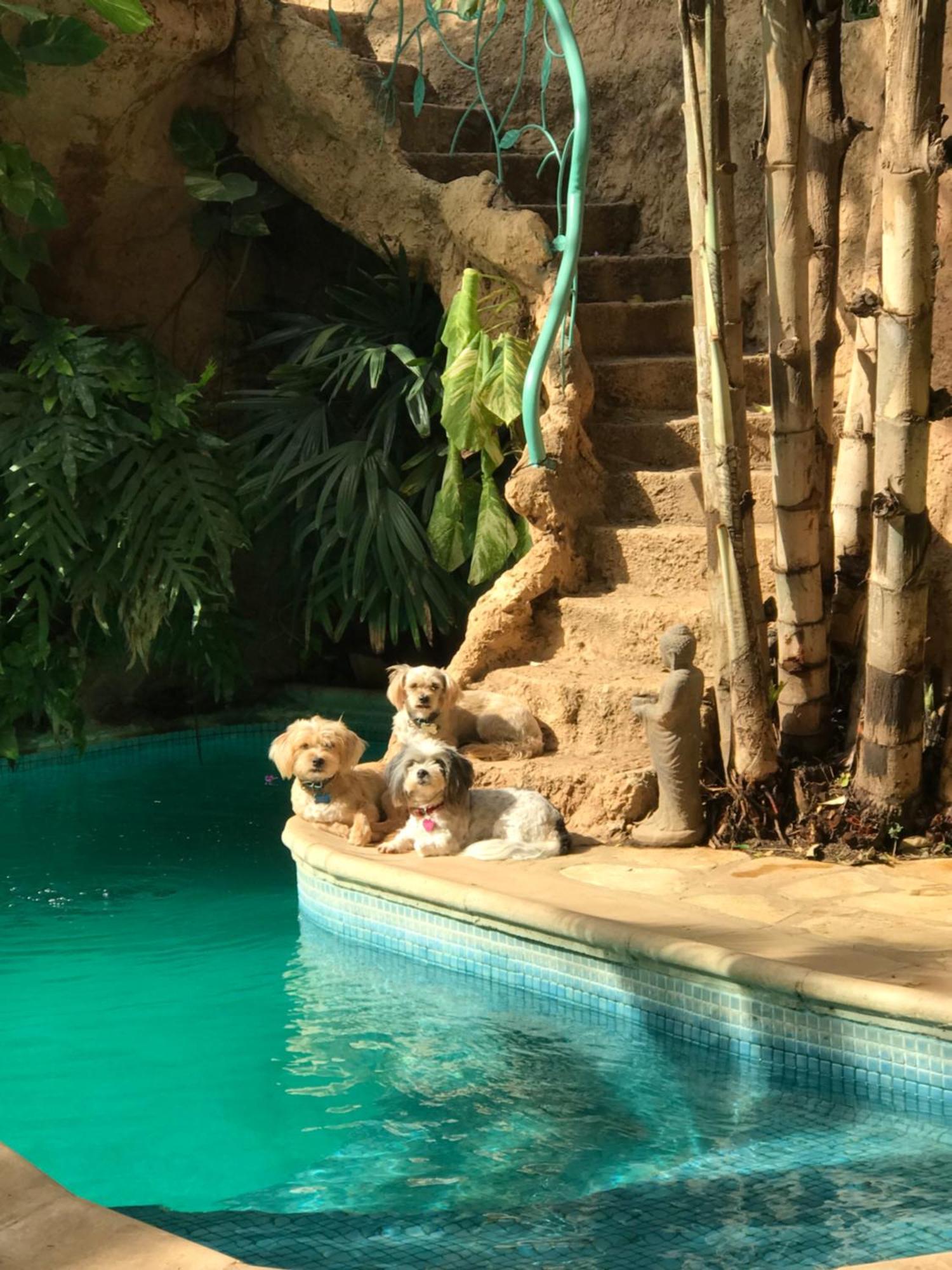 Appartamento Tropical Oasis Ouakam Esterno foto